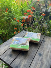 Viet Cajun Catfish Sandwiches Deluxe