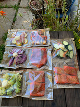 Portion Control Salmon Meals